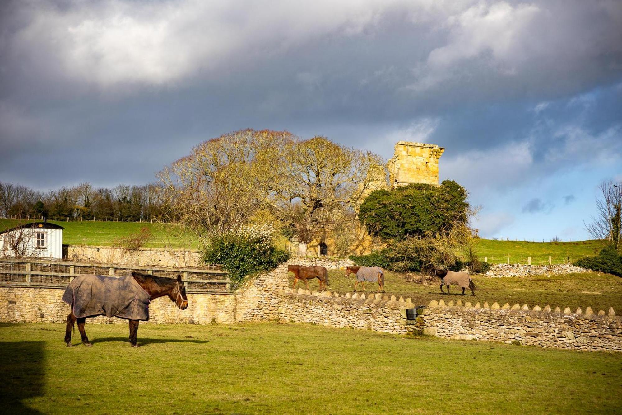 Yew Tree Cottage East Ayton Екстер'єр фото